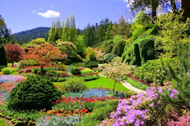 Visita turística de Victoria y Butchart Gardens desde Vancouver
